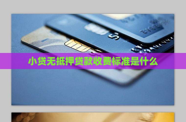 小贷无抵押贷款收费标准是什么