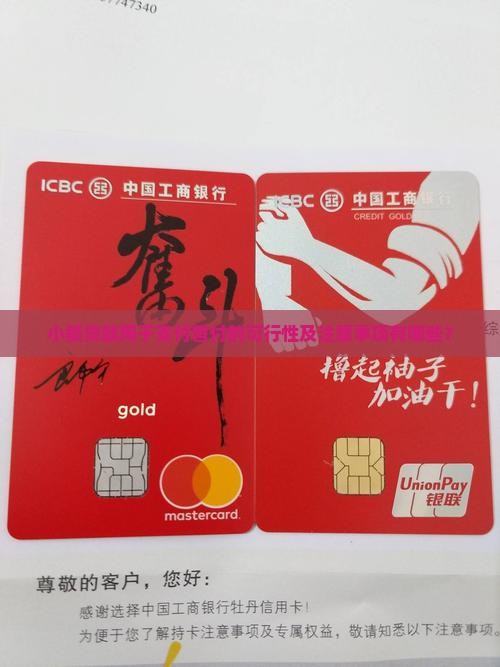 小额贷款用于支付首付的可行性及注意事项有哪些？