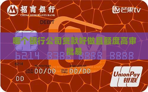 哪个银行公司贷款好做且额度高审批易