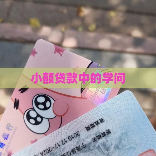 小额贷款中的学问