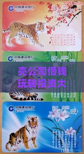 壳公司借钱玩转投资大冒险，这操作靠谱吗？