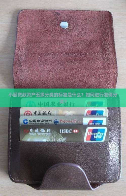 小额贷款资产五级分类的标准是什么？如何进行准确分类？