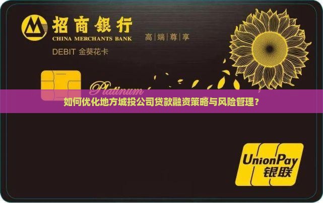 如何优化地方城投公司贷款融资策略与风险管理？