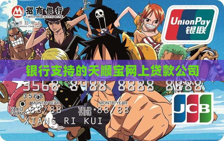 银行支持的天顺宝网上贷款公司