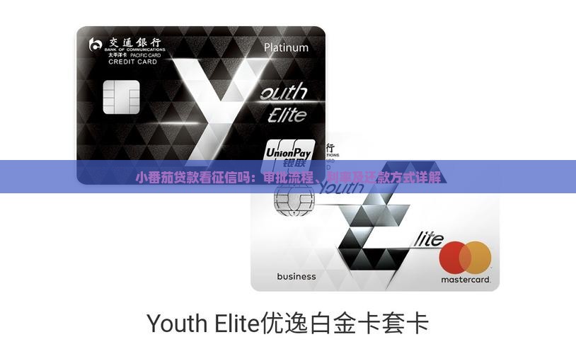 小番茄贷款看征信吗：审批流程、利率及还款方式详解
