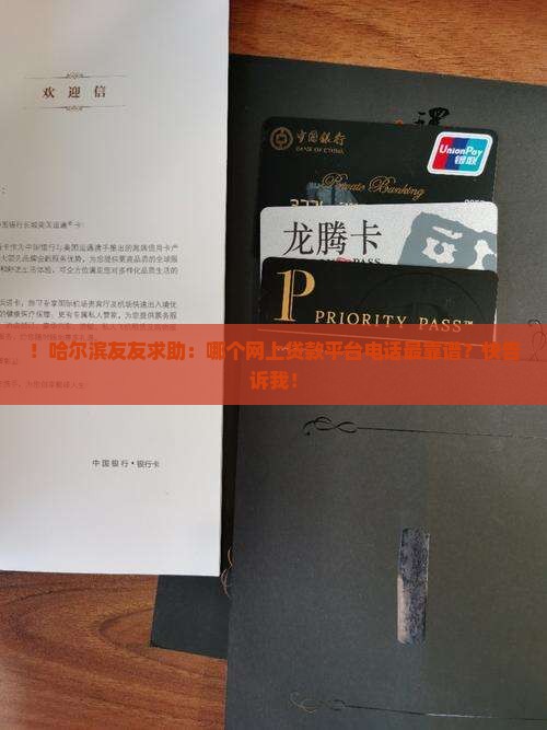 ！哈尔滨友友求助：哪个网上贷款平台电话最靠谱？快告诉我！