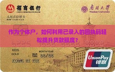 作为个体户，如何利用已录入的回执码轻松提升贷款额度？