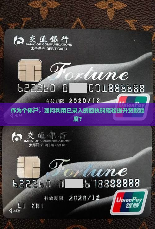作为个体户，如何利用已录入的回执码轻松提升贷款额度？
