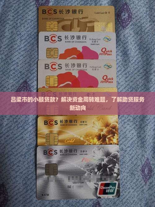 吕梁市的小额贷款？解决资金周转难题，了解助贷服务新动向