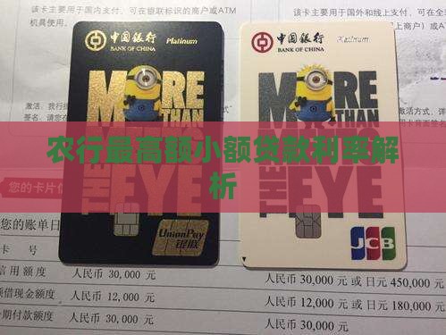 农行最高额小额贷款利率解析