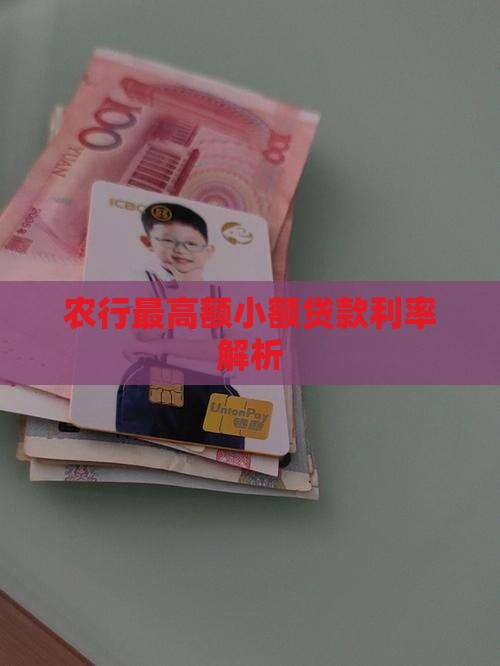 农行最高额小额贷款利率解析