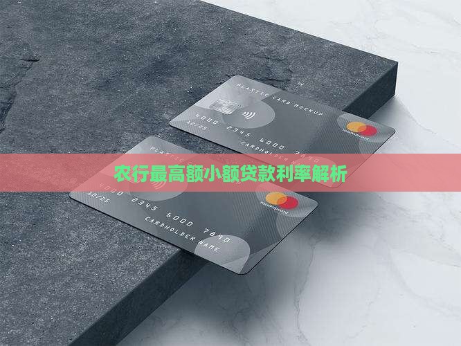农行最高额小额贷款利率解析