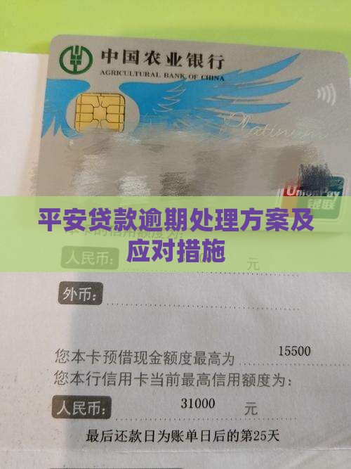 平安贷款逾期处理方案及应对措施