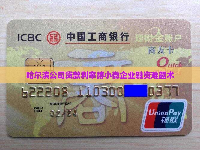 哈尔滨公司贷款利率缚小微企业融资难题术