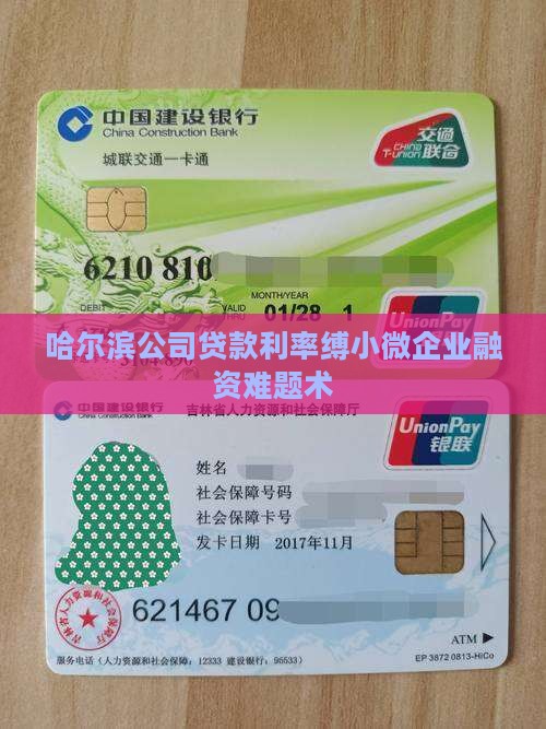 哈尔滨公司贷款利率缚小微企业融资难题术