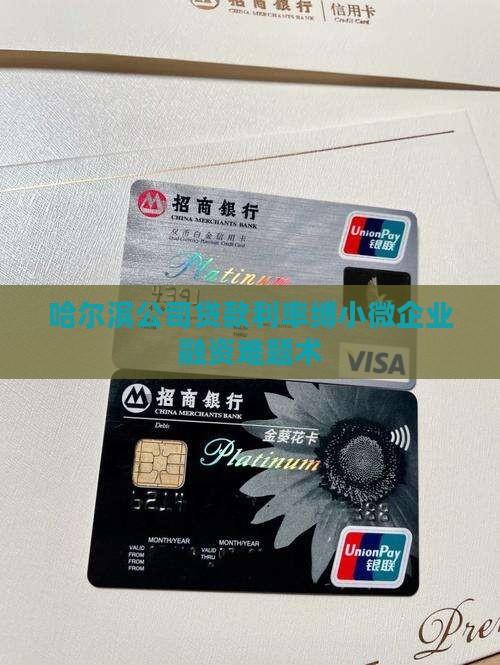 哈尔滨公司贷款利率缚小微企业融资难题术