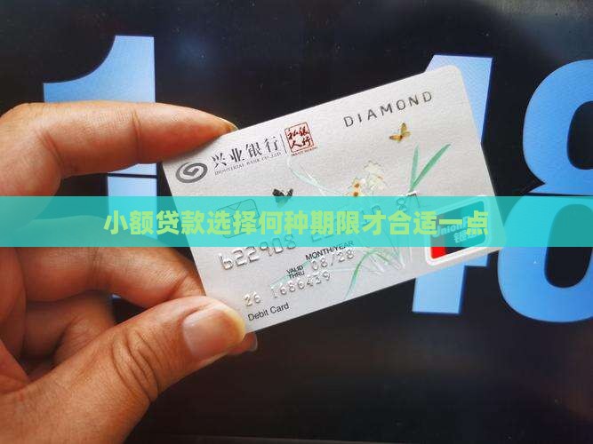小额贷款选择何种期限才合适一点