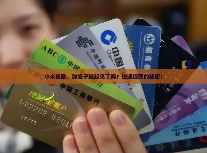 小米贷款，钱袋子鼓起来了吗？快速提现的秘密！