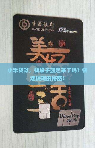 小米贷款，钱袋子鼓起来了吗？快速提现的秘密！