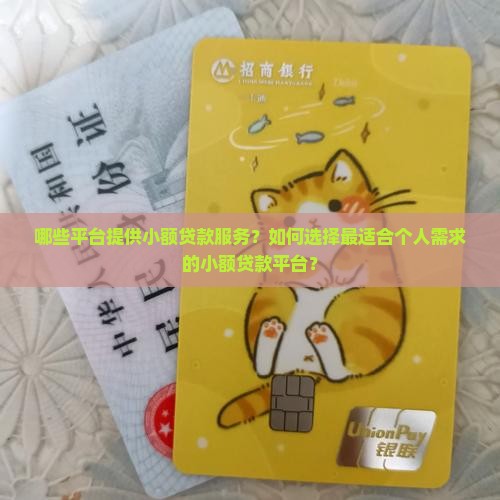 哪些平台提供小额贷款服务？如何选择最适合个人需求的小额贷款平台？