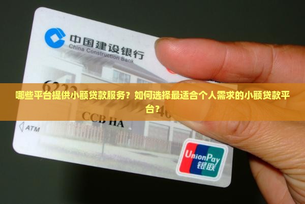 哪些平台提供小额贷款服务？如何选择最适合个人需求的小额贷款平台？