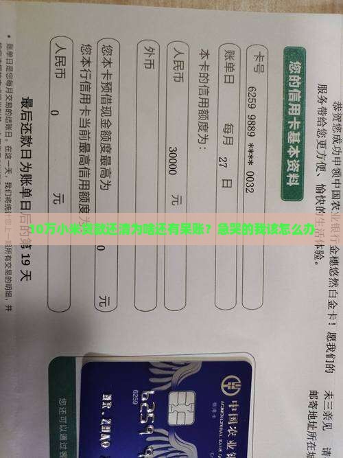 10万小米贷款还清为啥还有呆账？急哭的我该怎么办