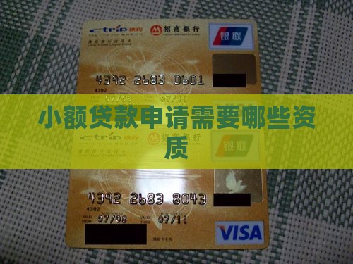 小额贷款申请需要哪些资质