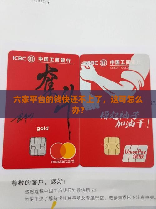 六家平台的钱快还不上了，这可怎么办？