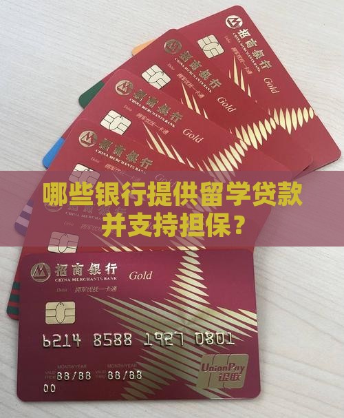 哪些银行提供留学贷款并支持担保？