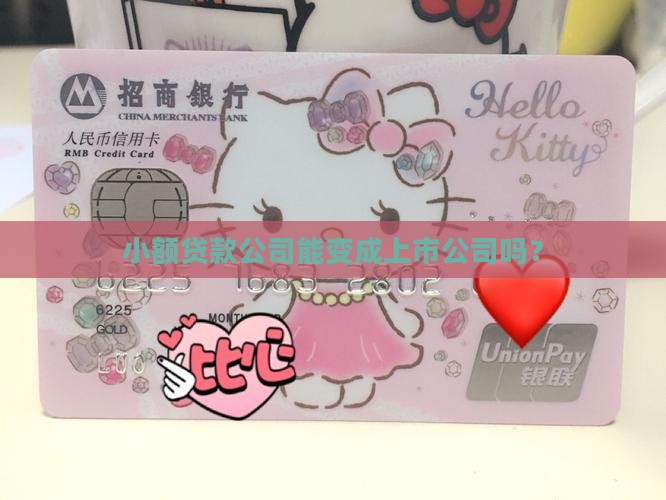小额贷款公司能变成上市公司吗？