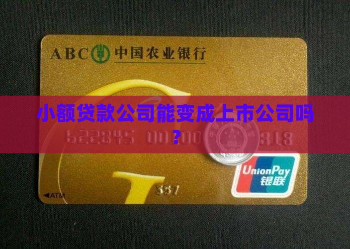 小额贷款公司能变成上市公司吗？