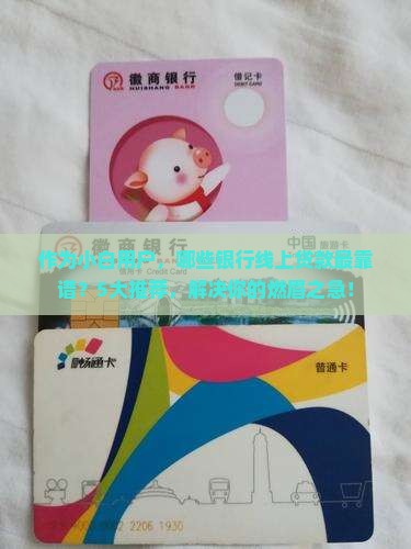 作为小白用户，哪些银行线上贷款最靠谱？5大推荐，解决你的燃眉之急！