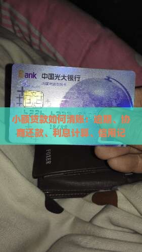 小额贷款如何清账：逾期、协商还款、利息计算、信用记录影响全解析