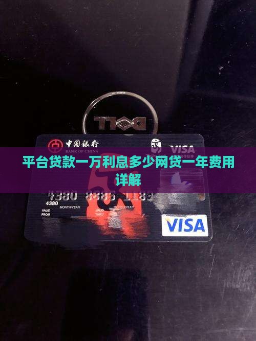 平台贷款一万利息多少网贷一年费用详解 平台贷款一万利息多少网贷一年费用详解