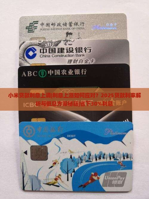 小米贷款利息上调