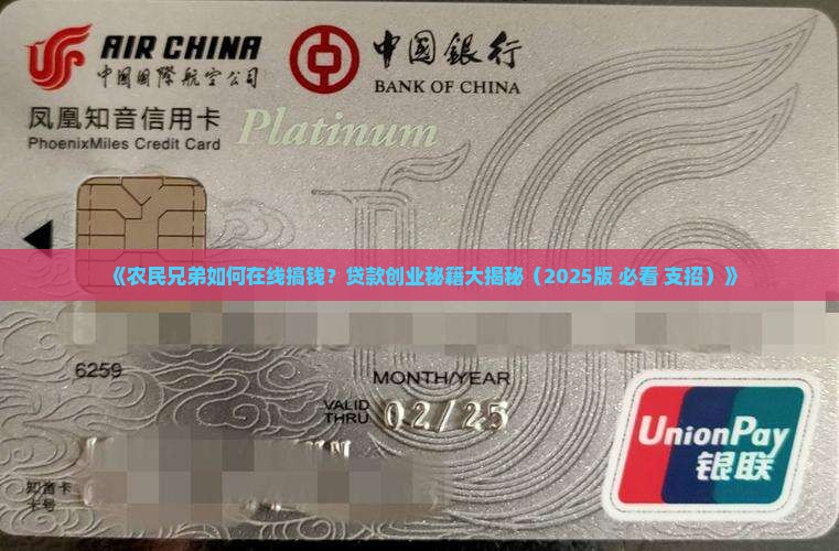 农民在网上怎么创业贷款