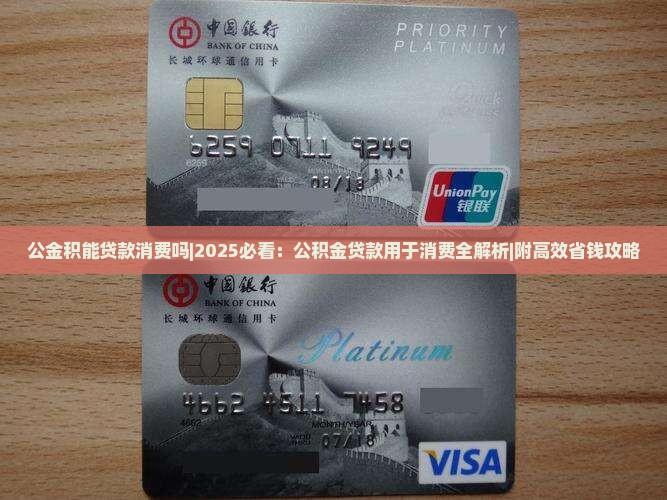 公金积能贷款消费吗
