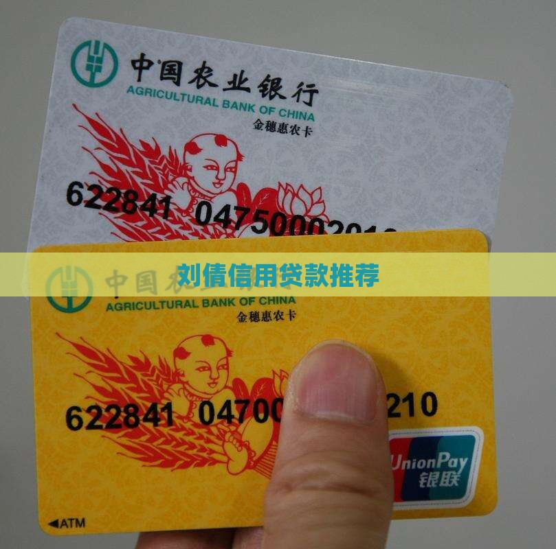 刘倩信用贷款