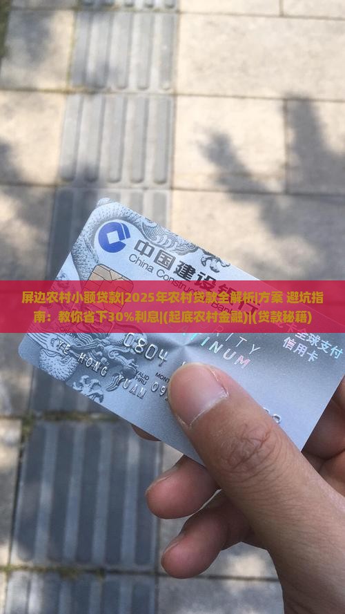 屏边农村小额贷款