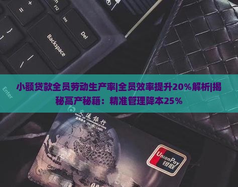 小额贷款全员劳动生产率