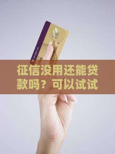 征信没用还能贷款吗
