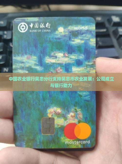 吴忠农业银行贷款