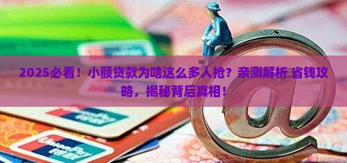 小额贷款为什么那么多人