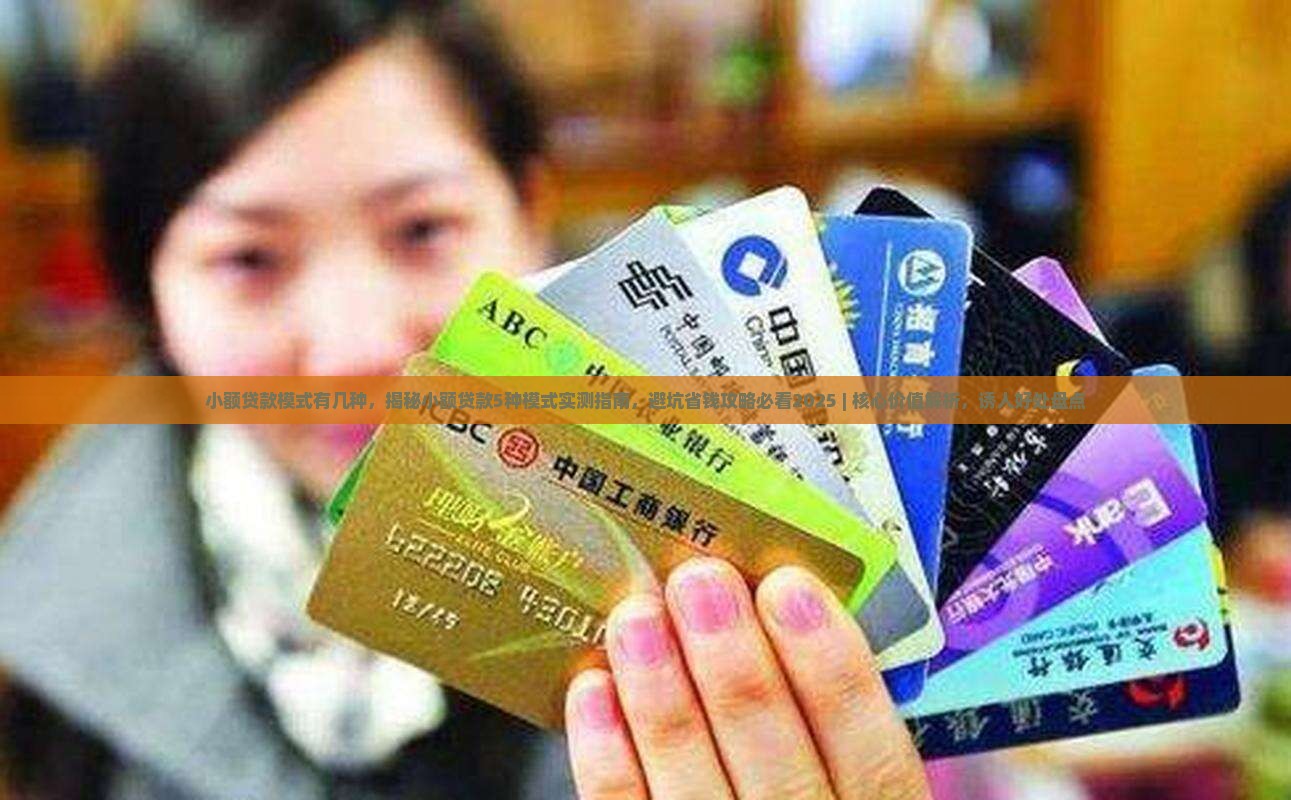 小额贷款模式有几种