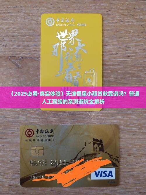 天津恒星小额贷款