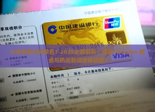 小米贷款为何改名