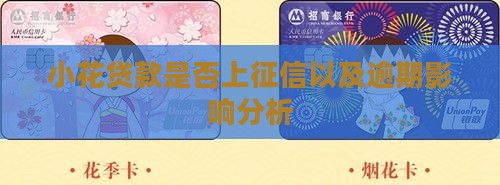 喜小花花贷款上征信吗