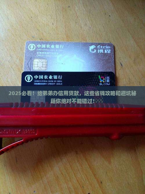 帮弟弟办信用贷款
