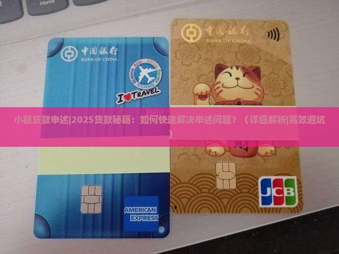 小额贷款申述