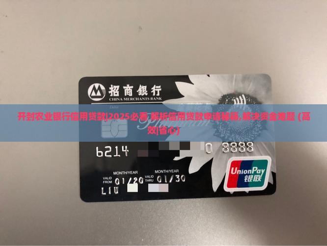 开封农业银行信用贷款